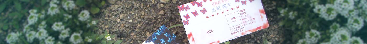 蝶々シリーズです