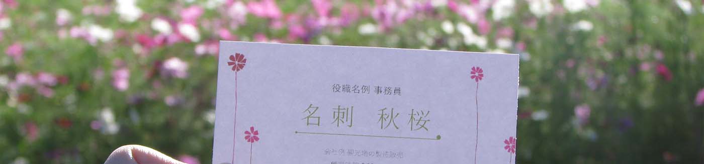 四季・花シリーズの詳細ページです