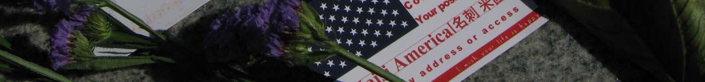 国旗シリーズの詳細ページです