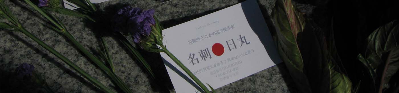 補助金の事業をご紹介します